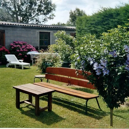 Bleu Et Coquelicot